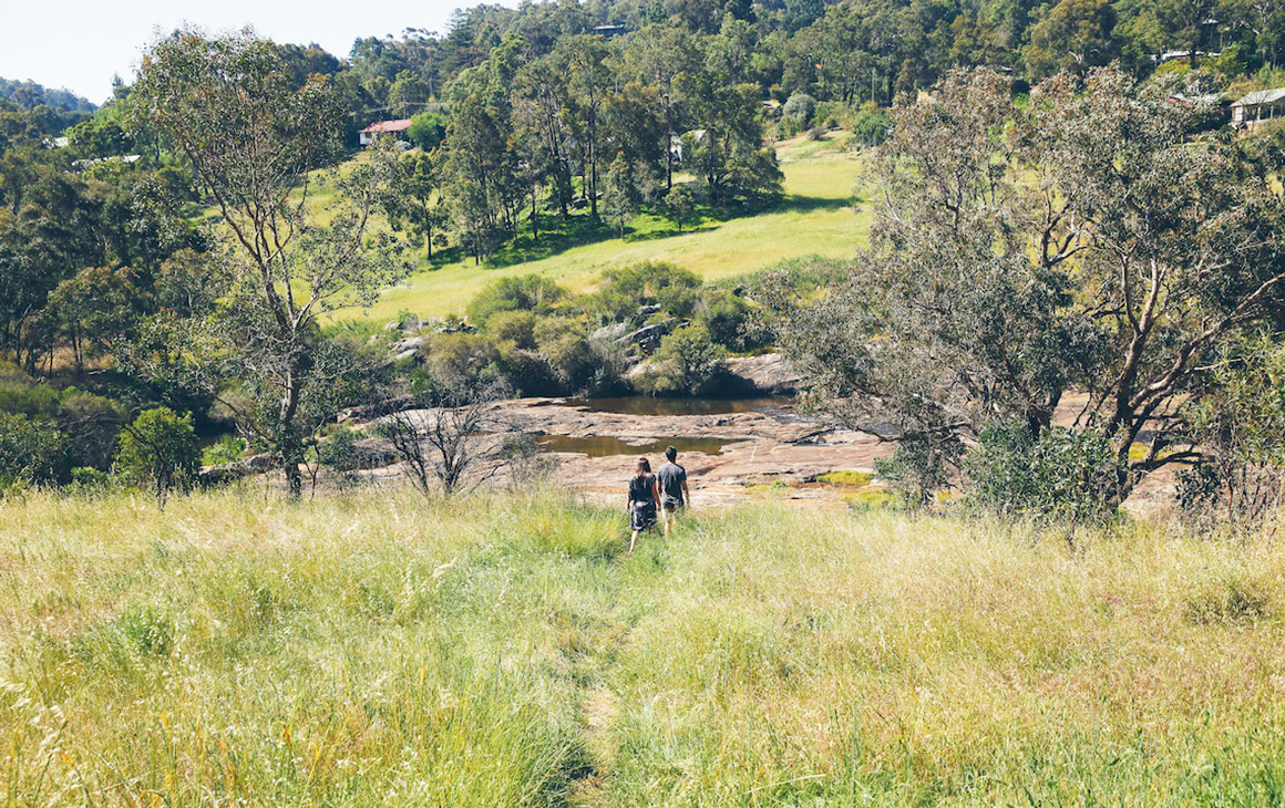 Two people walking through tall grass towards a lake